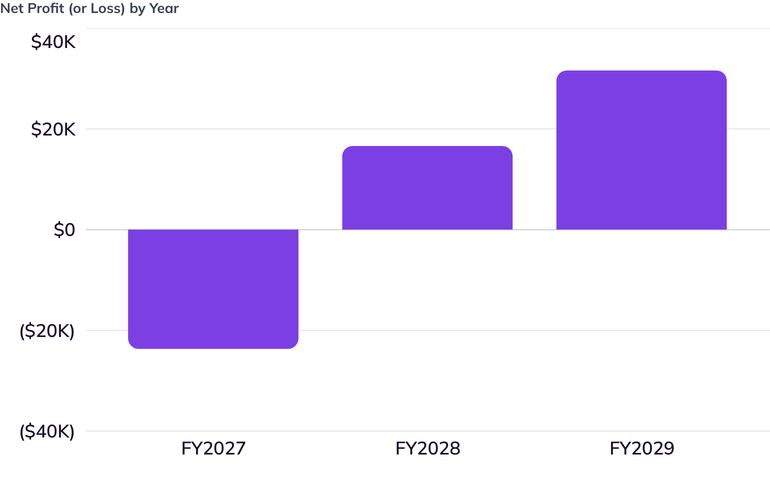 Net Profit (or Loss) by Year