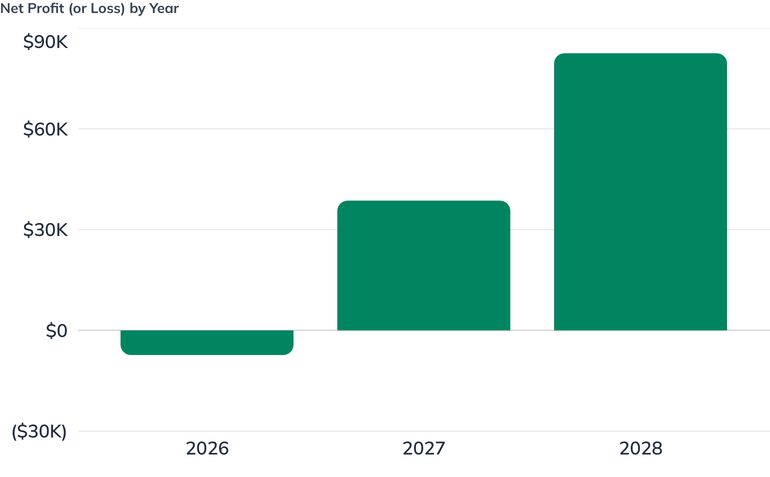 Net Profit (or Loss) by Year