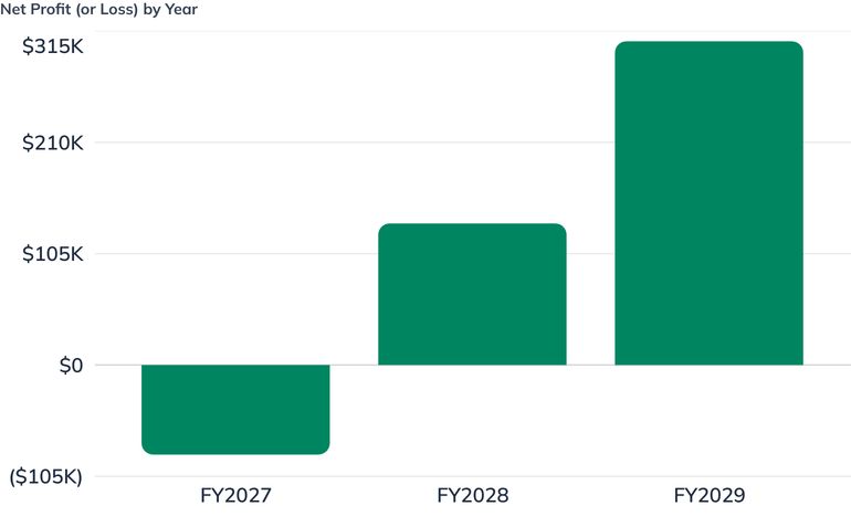 Net Profit (or Loss) by Year