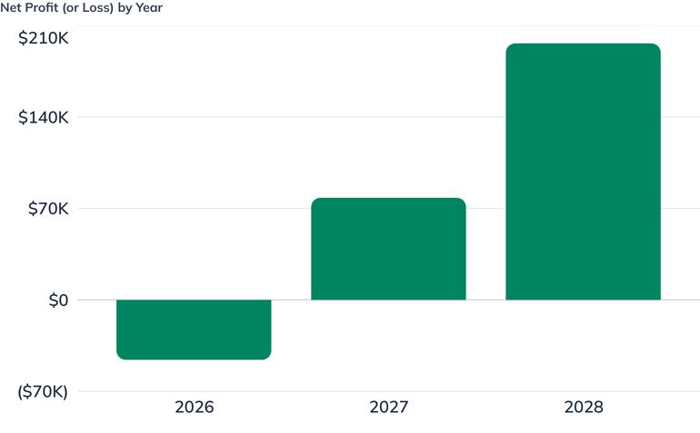 Net Profit (or Loss) by Year