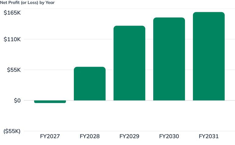 Net Profit (or Loss) by Year