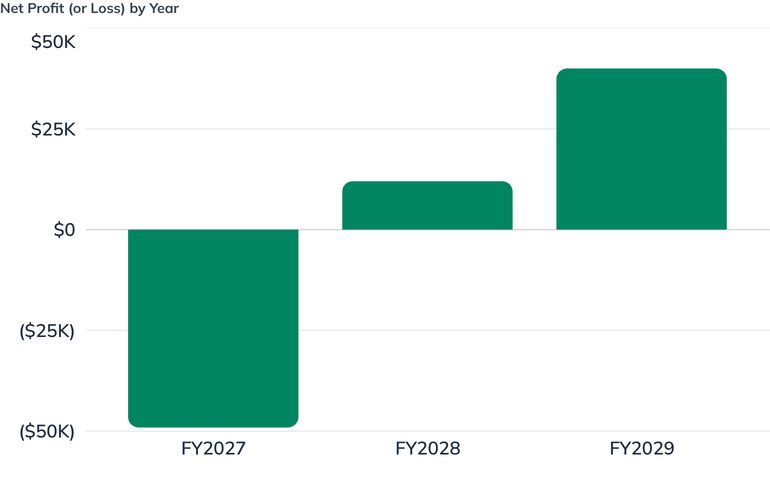 Net Profit (or Loss) by Year