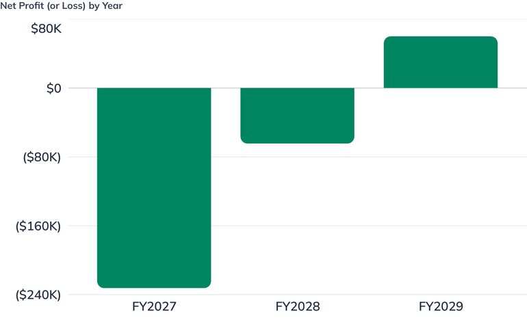 Net Profit (or Loss) by Year
