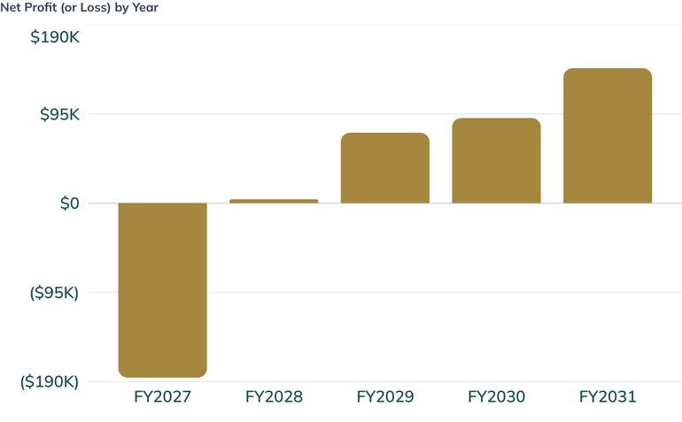 Net Profit (or Loss) by Year