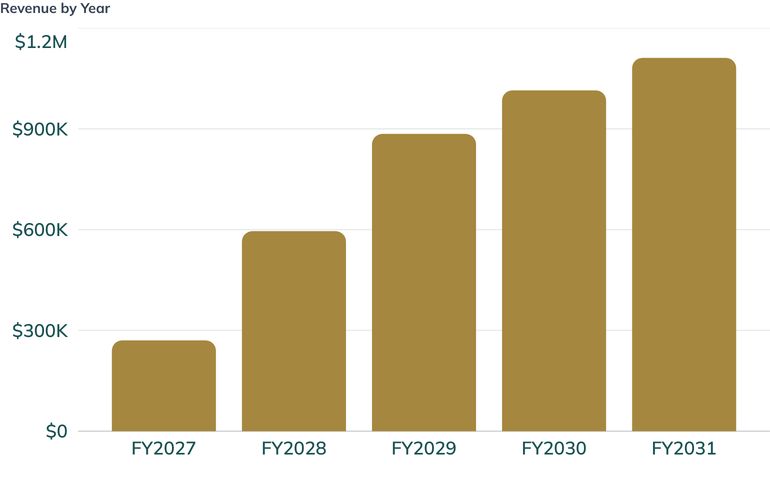 Revenue by Year