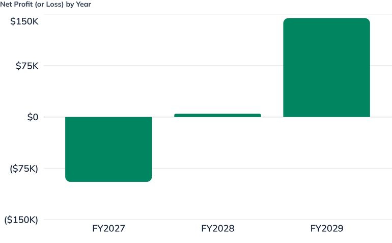 Net Profit (or Loss) by Year
