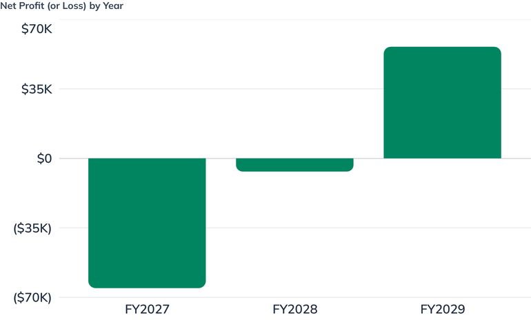 Net Profit (or Loss) by Year