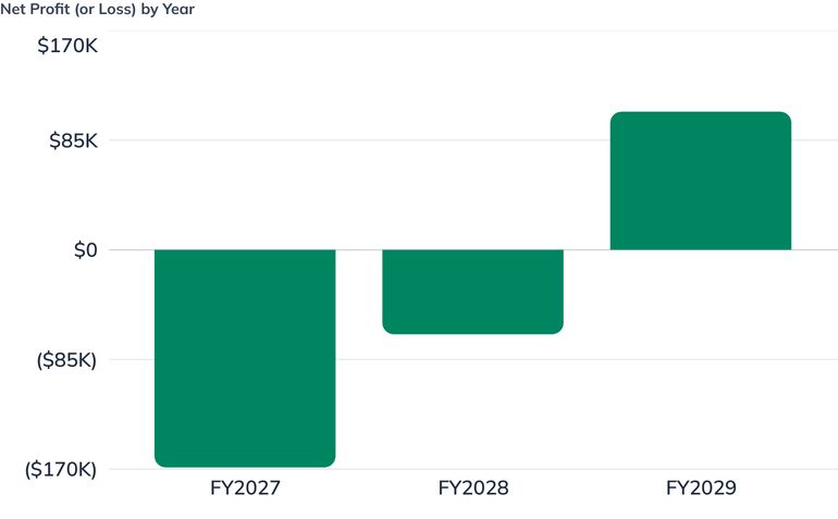 Net Profit (or Loss) by Year
