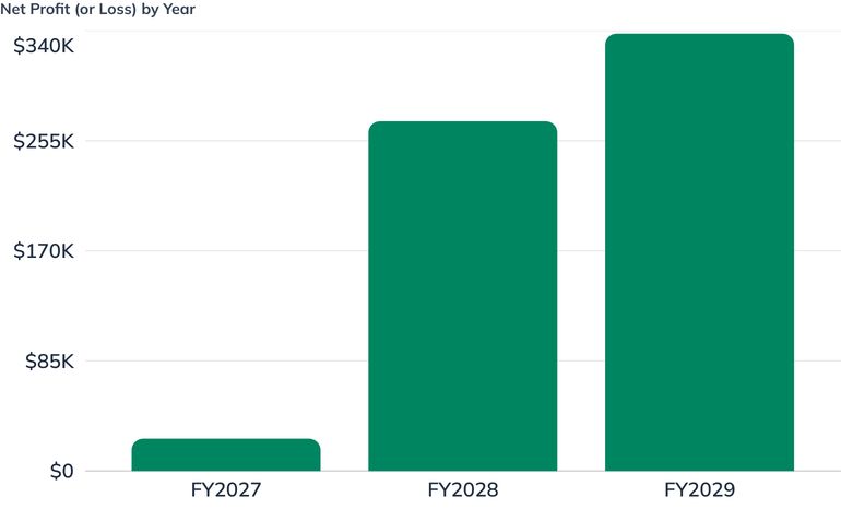 Net Profit (or Loss) by Year