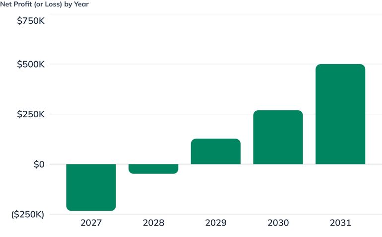 Net Profit (or Loss) by Year
