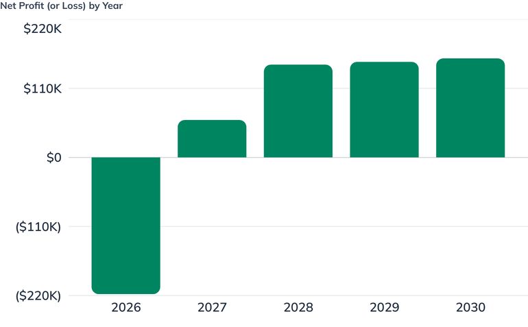 Net Profit (or Loss) by Year