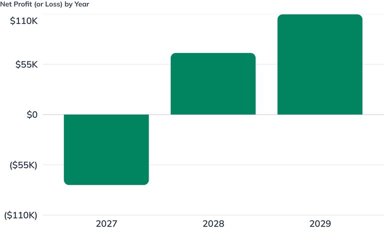 Net Profit (or Loss) by Year