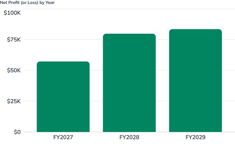 Net Profit (or Loss) by Year