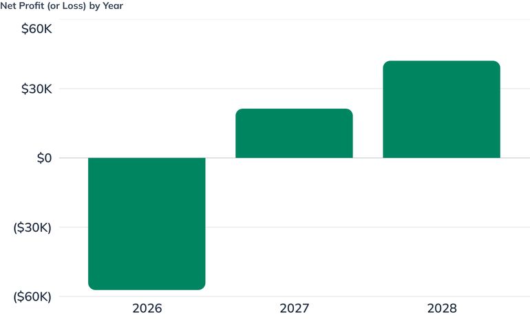 Net Profit (or Loss) by Year