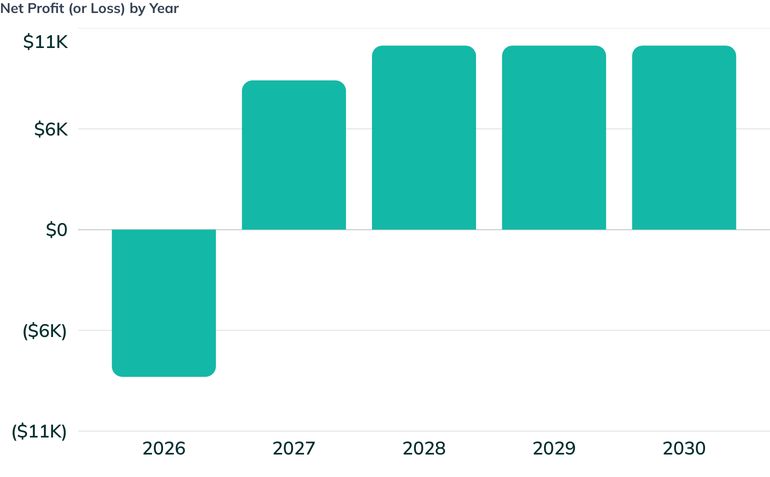 Net Profit (or Loss) by Year