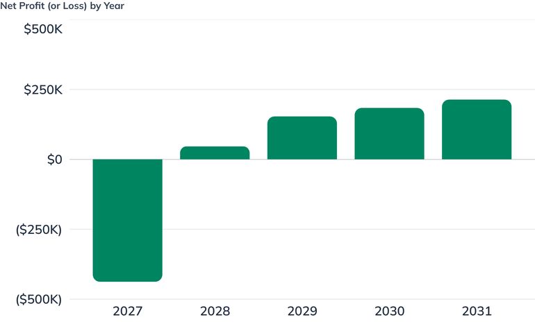 Net Profit (or Loss) by Year