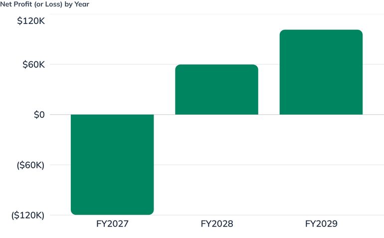 Net Profit (or Loss) by Year